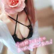 ヒメ日記 2025/04/21 09:04 投稿 みいな トマトなび