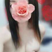 ヒメ日記 2025/04/26 19:31 投稿 みいな トマトなび