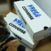 ヒメ日記 2025/05/02 09:33 投稿 みいな トマトなび