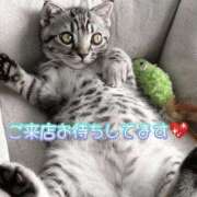 ヒメ日記 2025/05/02 18:53 投稿 みいな トマトなび