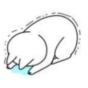 ヒメ日記 2025/05/12 11:33 投稿 みいな トマトなび