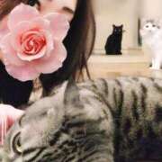 ヒメ日記 2025/06/03 21:37 投稿 みいな トマトなび