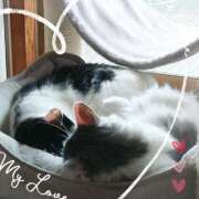 ヒメ日記 2025/06/05 10:41 投稿 みいな トマトなび