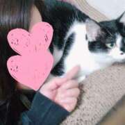 ヒメ日記 2025/06/10 21:12 投稿 みいな トマトなび