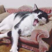 ヒメ日記 2025/06/16 22:36 投稿 みいな トマトなび