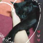 ヒメ日記 2025/06/19 00:06 投稿 みいな トマトなび