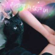 ヒメ日記 2025/06/20 02:09 投稿 みいな トマトなび