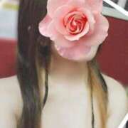 ヒメ日記 2025/06/24 17:49 投稿 みいな トマトなび