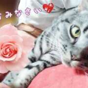 ヒメ日記 2025/06/25 23:53 投稿 みいな トマトなび