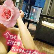 ヒメ日記 2025/06/30 20:24 投稿 みいな トマトなび