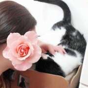 ヒメ日記 2025/07/04 01:55 投稿 みいな トマトなび