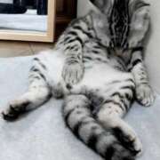 ヒメ日記 2025/07/04 14:01 投稿 みいな トマトなび