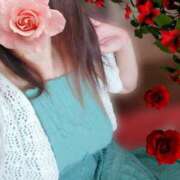 ヒメ日記 2025/07/08 06:32 投稿 みいな トマトなび