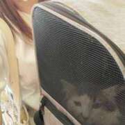 ヒメ日記 2025/07/10 11:08 投稿 みいな トマトなび