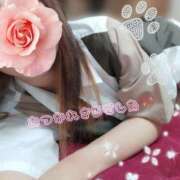 ヒメ日記 2025/07/11 16:53 投稿 みいな トマトなび