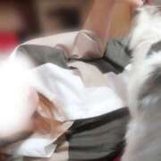 ヒメ日記 2025/07/12 00:03 投稿 みいな トマトなび