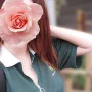 ヒメ日記 2025/07/15 06:48 投稿 みいな トマトなび