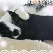 ヒメ日記 2025/07/17 00:54 投稿 みいな トマトなび