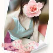 ヒメ日記 2025/07/19 19:57 投稿 みいな トマトなび