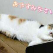 ヒメ日記 2025/07/20 20:55 投稿 みいな トマトなび