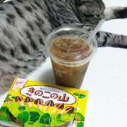 ヒメ日記 2025/07/26 22:42 投稿 みいな トマトなび