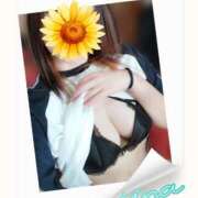 ヒメ日記 2025/07/31 11:57 投稿 みいな トマトなび