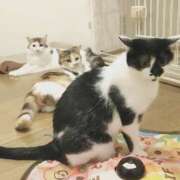 ヒメ日記 2025/08/01 13:08 投稿 みいな トマトなび