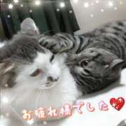 ヒメ日記 2025/08/03 00:44 投稿 みいな トマトなび