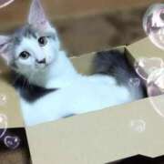 ヒメ日記 2025/08/08 13:46 投稿 みいな トマトなび