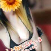 ヒメ日記 2025/08/09 06:29 投稿 みいな トマトなび