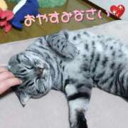 ヒメ日記 2025/08/14 01:36 投稿 みいな トマトなび