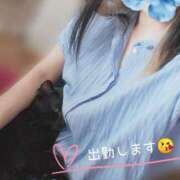 ヒメ日記 2025/08/27 14:34 投稿 みいな トマトなび