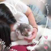 ヒメ日記 2025/08/28 23:46 投稿 みいな トマトなび