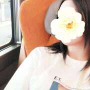 ヒメ日記 2025/09/01 09:59 投稿 みいな トマトなび