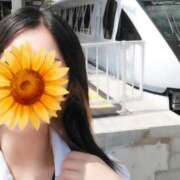 ヒメ日記 2025/09/02 12:21 投稿 みいな トマトなび