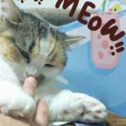 ヒメ日記 2025/09/03 23:28 投稿 みいな トマトなび