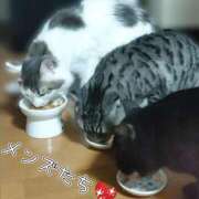 ヒメ日記 2025/09/14 21:36 投稿 みいな トマトなび