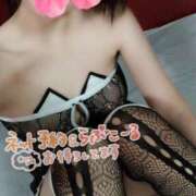 ヒメ日記 2025/09/16 07:04 投稿 みいな トマトなび