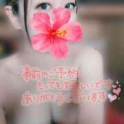 ヒメ日記 2025/09/17 14:25 投稿 みいな トマトなび