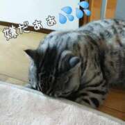 ヒメ日記 2025/09/24 12:42 投稿 みいな トマトなび