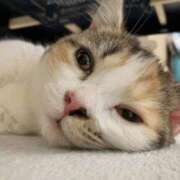 ヒメ日記 2025/09/25 02:14 投稿 みいな トマトなび