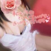 ヒメ日記 2025/09/26 23:19 投稿 みいな トマトなび