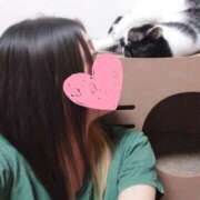 ヒメ日記 2025/10/04 22:54 投稿 みいな トマトなび