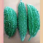 ヒメ日記 2025/10/05 20:47 投稿 みいな トマトなび