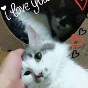 ヒメ日記 2025/10/05 23:20 投稿 みいな トマトなび