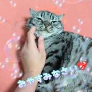 ヒメ日記 2025/10/08 23:57 投稿 みいな トマトなび