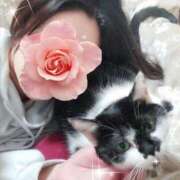 ヒメ日記 2025/10/15 12:44 投稿 みいな トマトなび