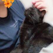 ヒメ日記 2025/10/16 01:25 投稿 みいな トマトなび