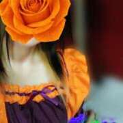 ヒメ日記 2025/10/18 09:39 投稿 みいな トマトなび