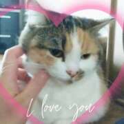 ヒメ日記 2025/10/25 00:18 投稿 みいな トマトなび